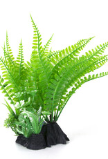 Burgham Aqua-Fit AQUA-FIT Green Fern Plant 7"