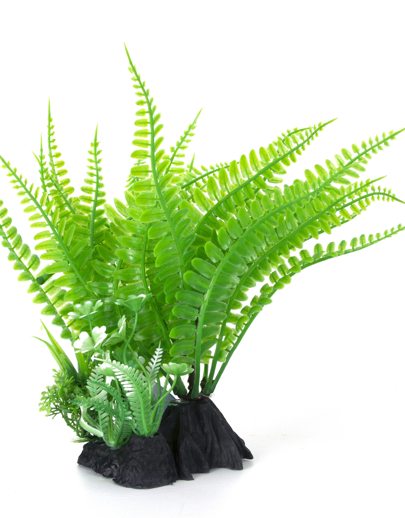 Burgham Aqua-Fit AQUA-FIT Green Fern Plant 7"