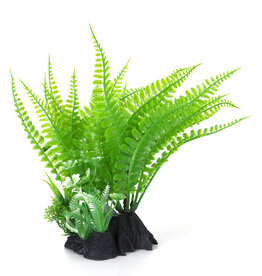 Burgham Aqua-Fit AQUA-FIT Green Fern Plant 7"