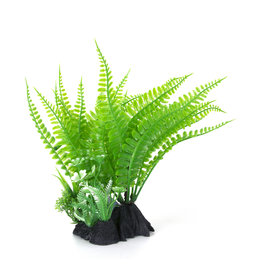 Burgham Aqua-Fit AQUA-FIT Green Fern Plant 7"