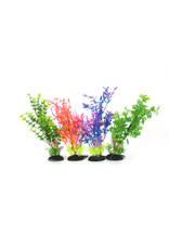 Burgham Aqua-Fit AQUA-FIT Anacharis Plants 5" Assorted