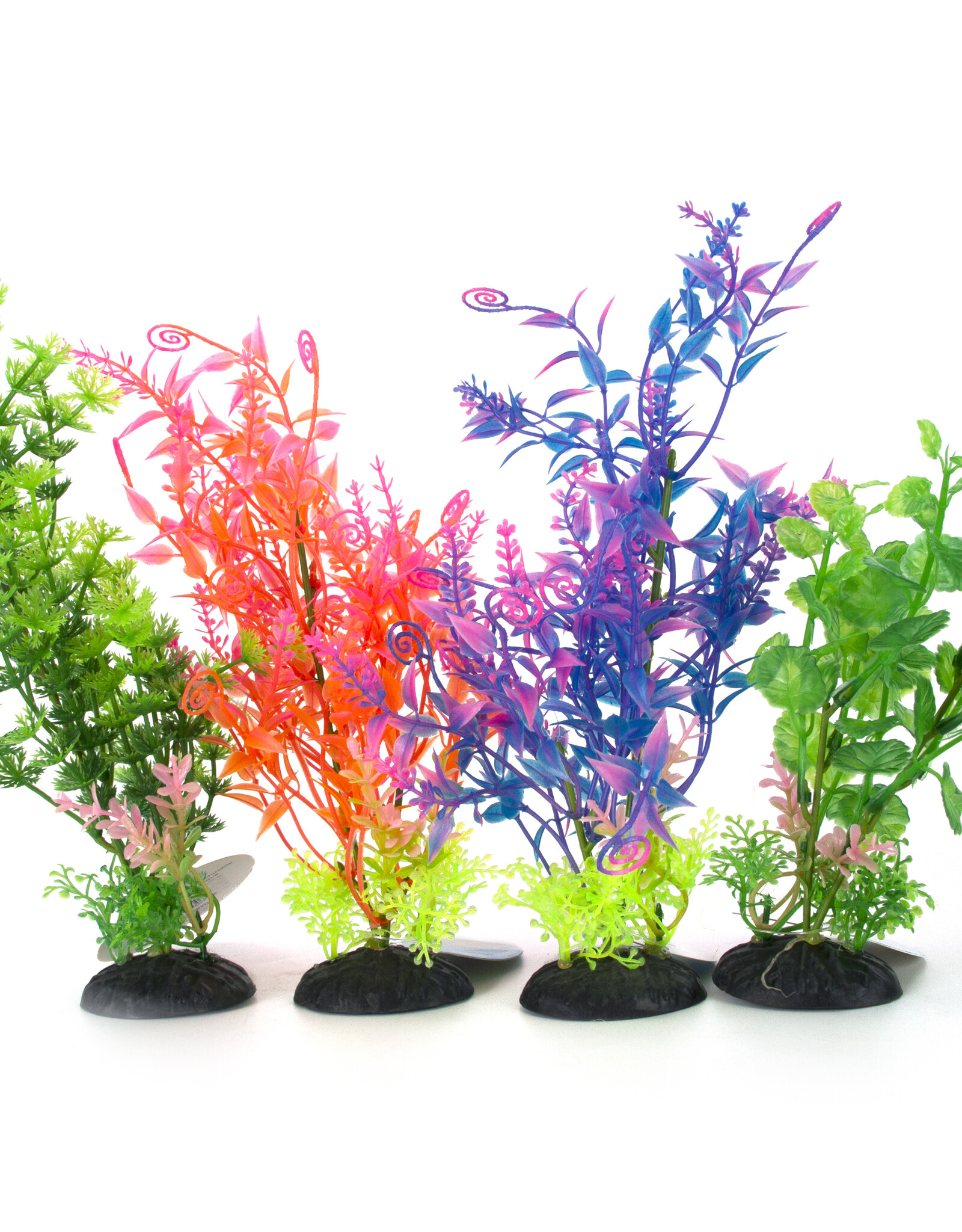 Burgham Aqua-Fit AQUA-FIT Anacharis Plants 5" Assorted