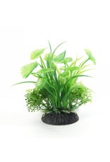 Burgham Aqua-Fit AQUA-FIT Green Fern Plant 4"