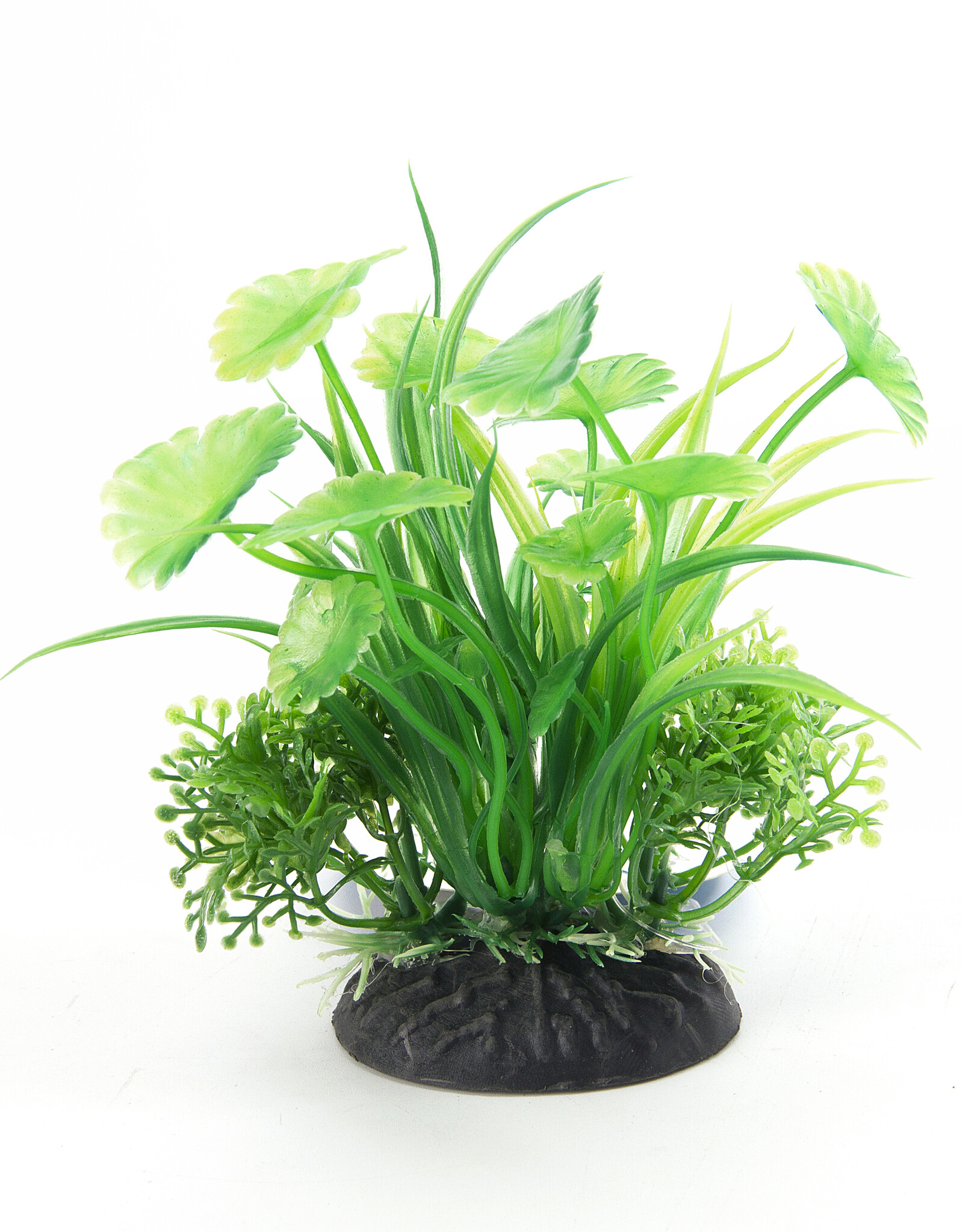 Burgham Aqua-Fit AQUA-FIT Green Fern Plant 4"