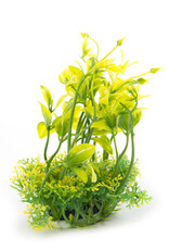 Burgham Aqua-Fit AQUA-FIT Hygro Plants 5"