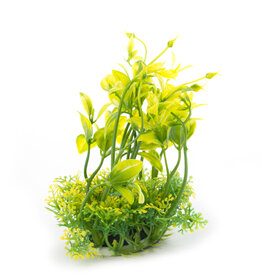 Burgham Aqua-Fit AQUA-FIT Hygro Plants 5"