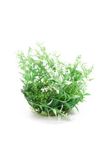 Burgham Aqua-Fit AQUA-FIT Hygro Plants 5"