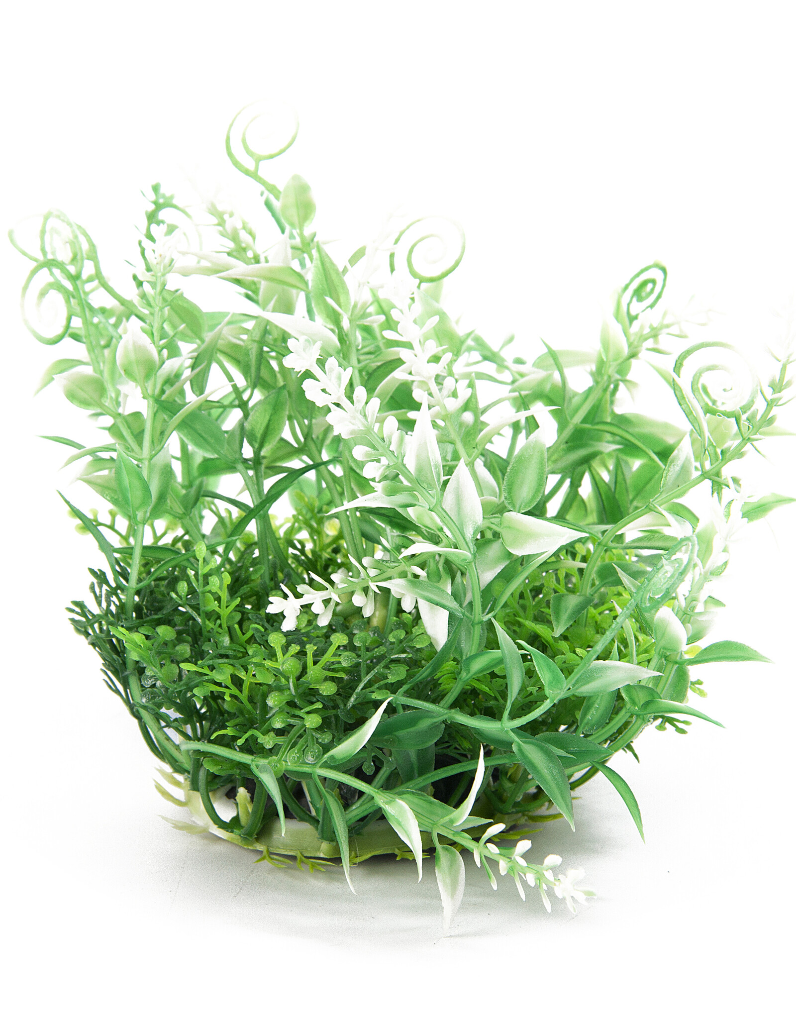 Burgham Aqua-Fit AQUA-FIT Hygro Plants 5"