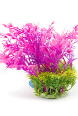 Burgham Aqua-Fit AQUA-FIT Hygro Plants 5"