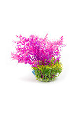 Burgham Aqua-Fit AQUA-FIT Hygro Plants 5"