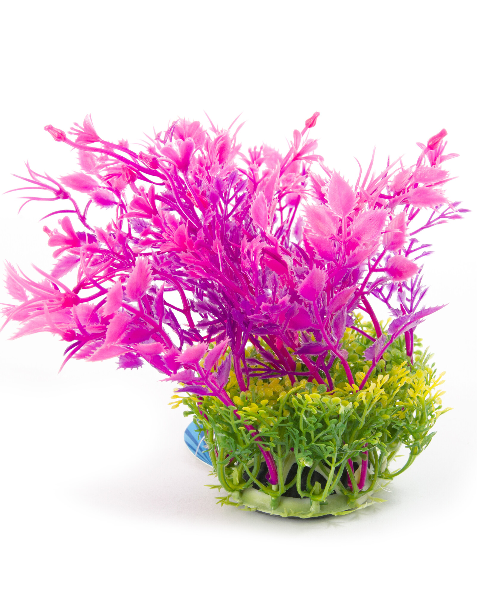 Burgham Aqua-Fit AQUA-FIT Hygro Plants 5"