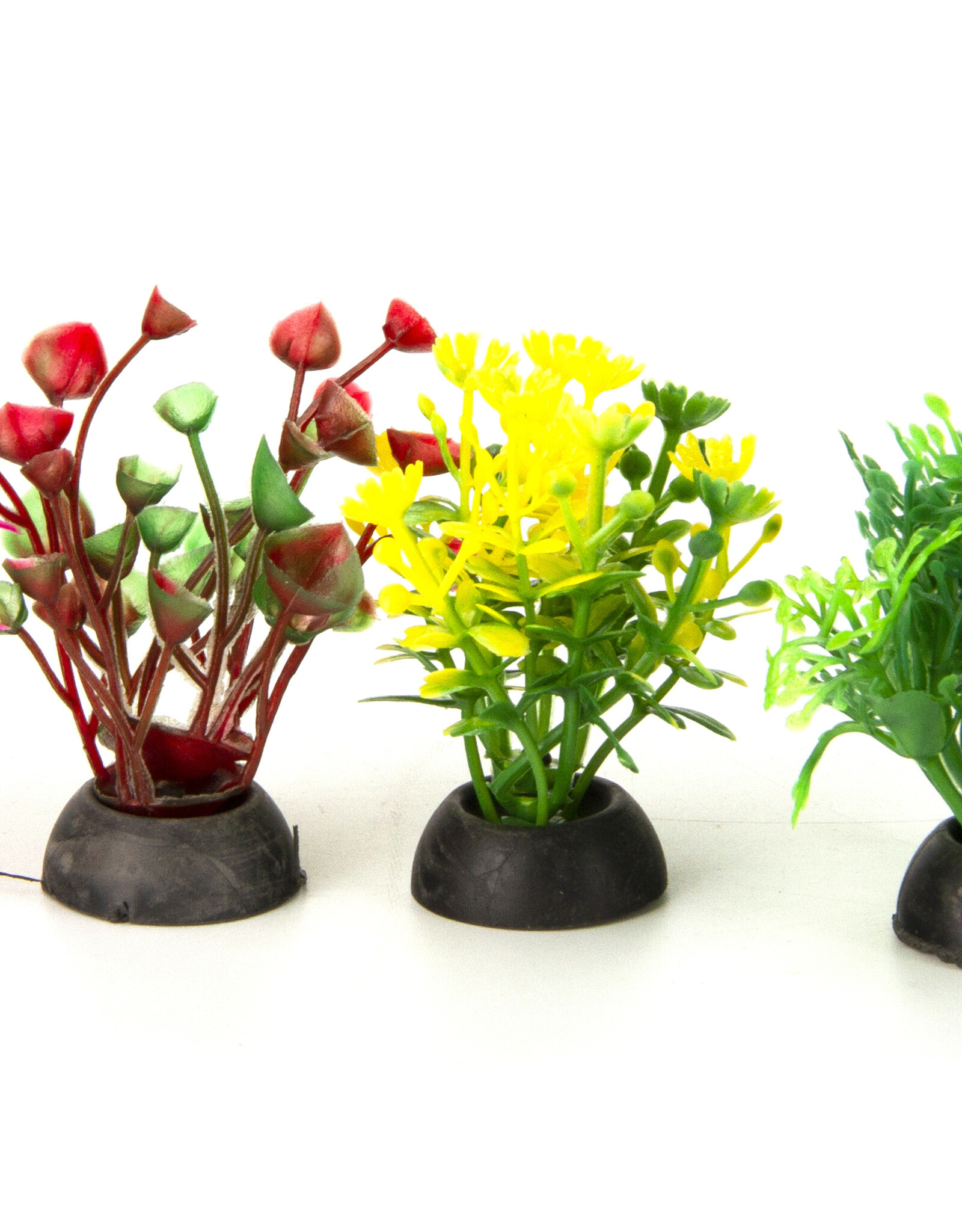 Burgham Aqua-Fit AQUA-FIT Assorted 2" Plastic Plants 6pc