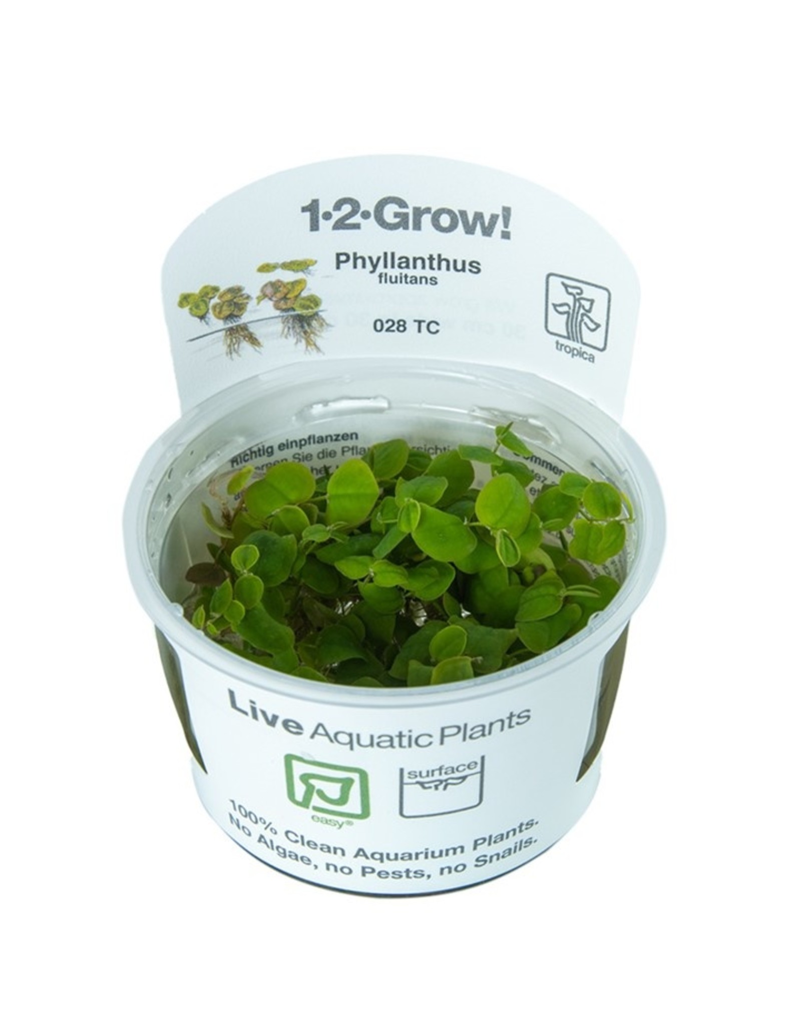 Tropica 1-2-GROW! Phyllanthus fluitans