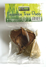 All Things Reptiles ALL THINGS REPTILE  Negombo Tree Pod 2-pack