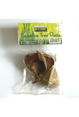 All Things Reptiles ALL THINGS REPTILE  Negombo Tree Pod 2-pack