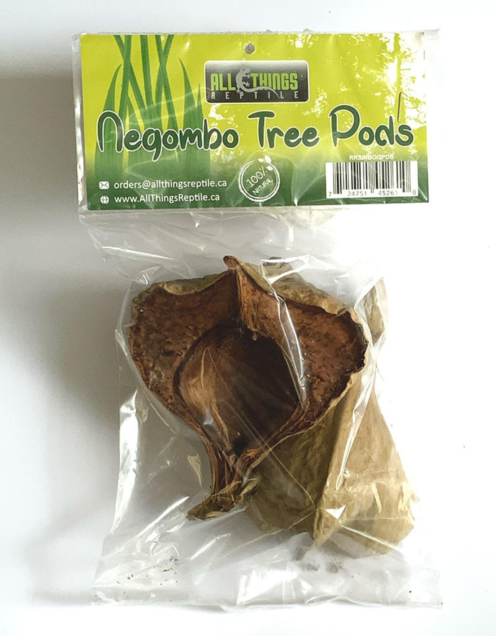 All Things Reptiles ALL THINGS REPTILE  Negombo Tree Pod 2-pack