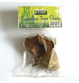 All Things Reptiles ALL THINGS REPTILE  Negombo Tree Pod 2-pack