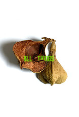 All Things Reptiles ALL THINGS REPTILE  Negombo Tree Pod 2-pack