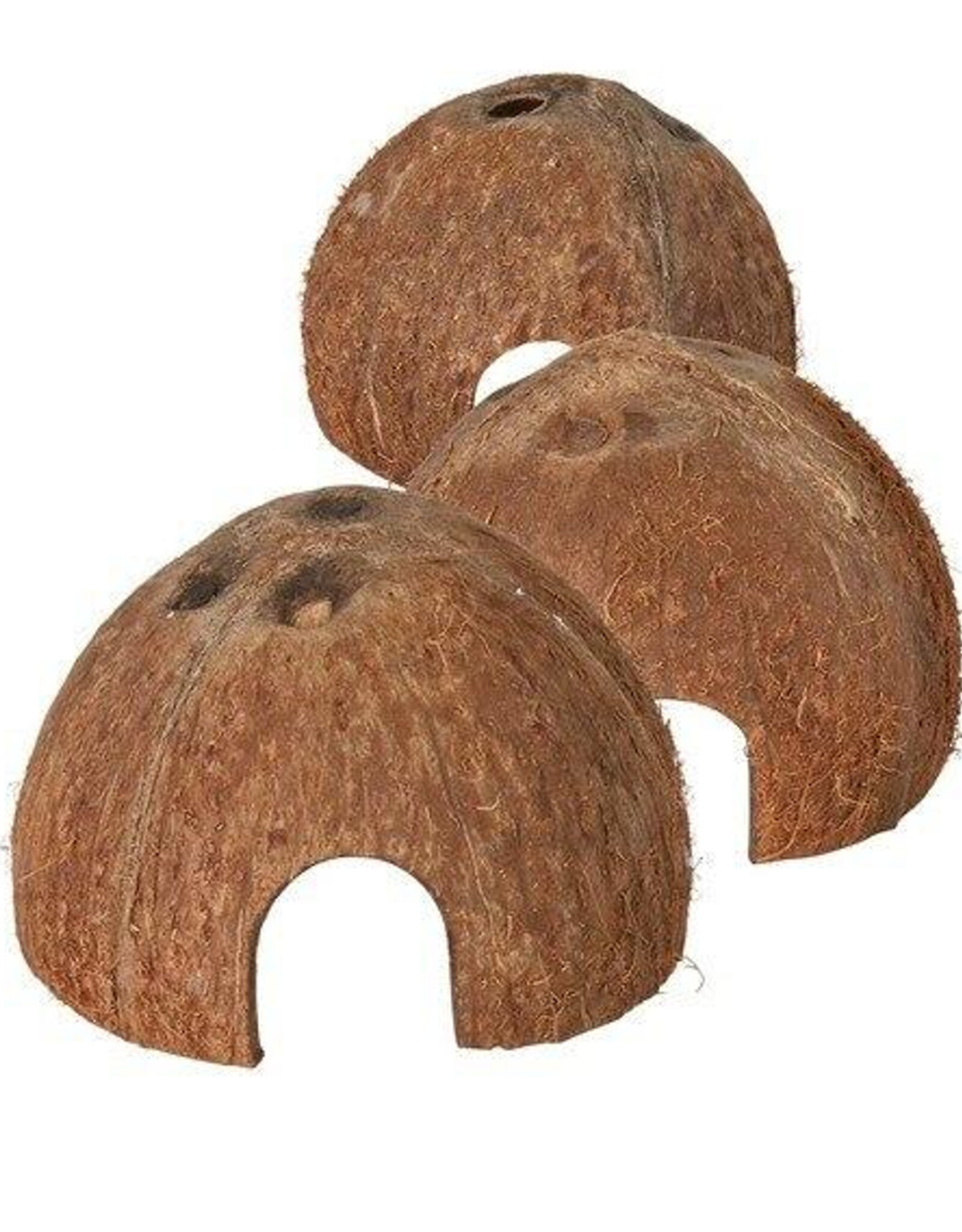 All Things Reptiles ALL THINGS REPTILE Coconut Hut Hide