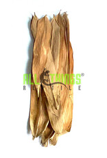 All Things Reptiles ALL THINGS REPTILE Bamboo Mix Size Leaves 10 pack