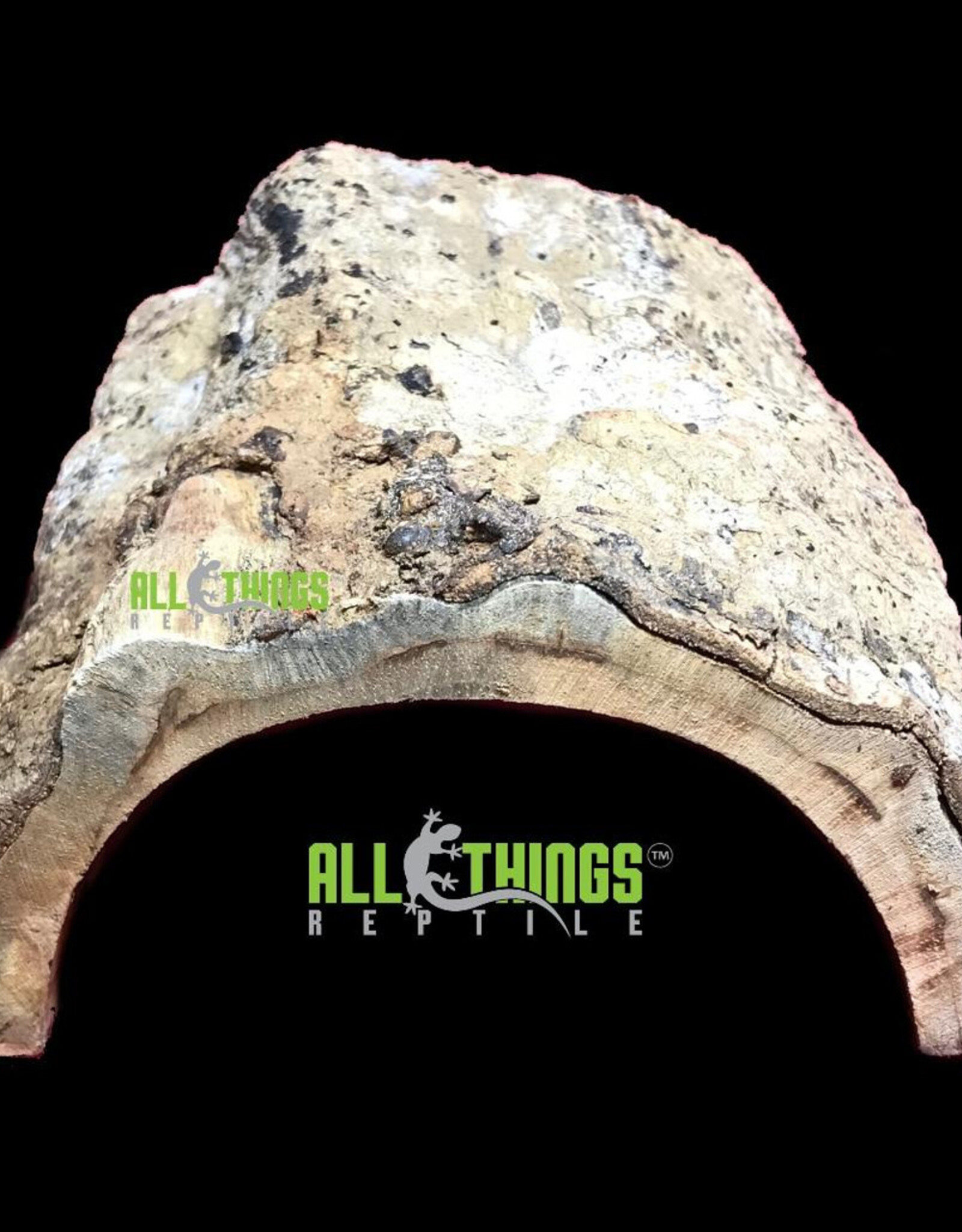 All Things Reptiles ALL THINGS REPTILE Natural Half Log Hide