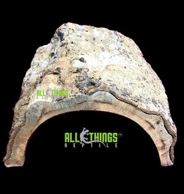 All Things Reptiles ALL THINGS REPTILE Natural Half Log Hide