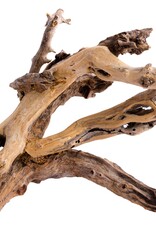 Aquaglobe Products AQUAGLOBE Gondwana Wood