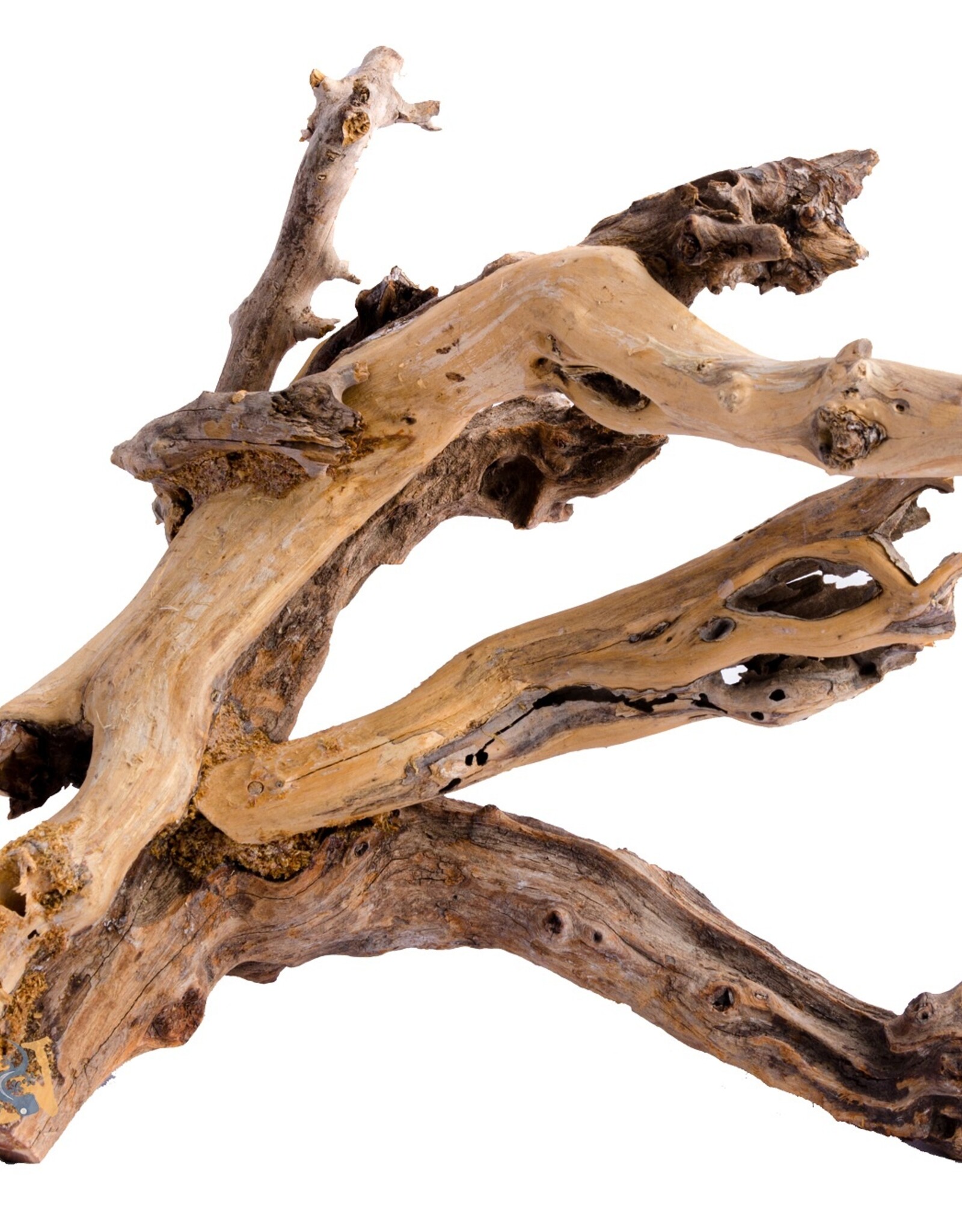 Aquaglobe Products AQUAGLOBE Gondwana Wood