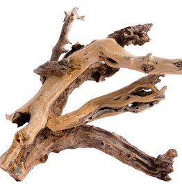 Aquaglobe Products AQUAGLOBE Gondwana Wood