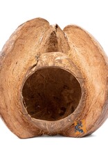 Aquaglobe Products AQUAGLOBE Natural Coconut Lotus