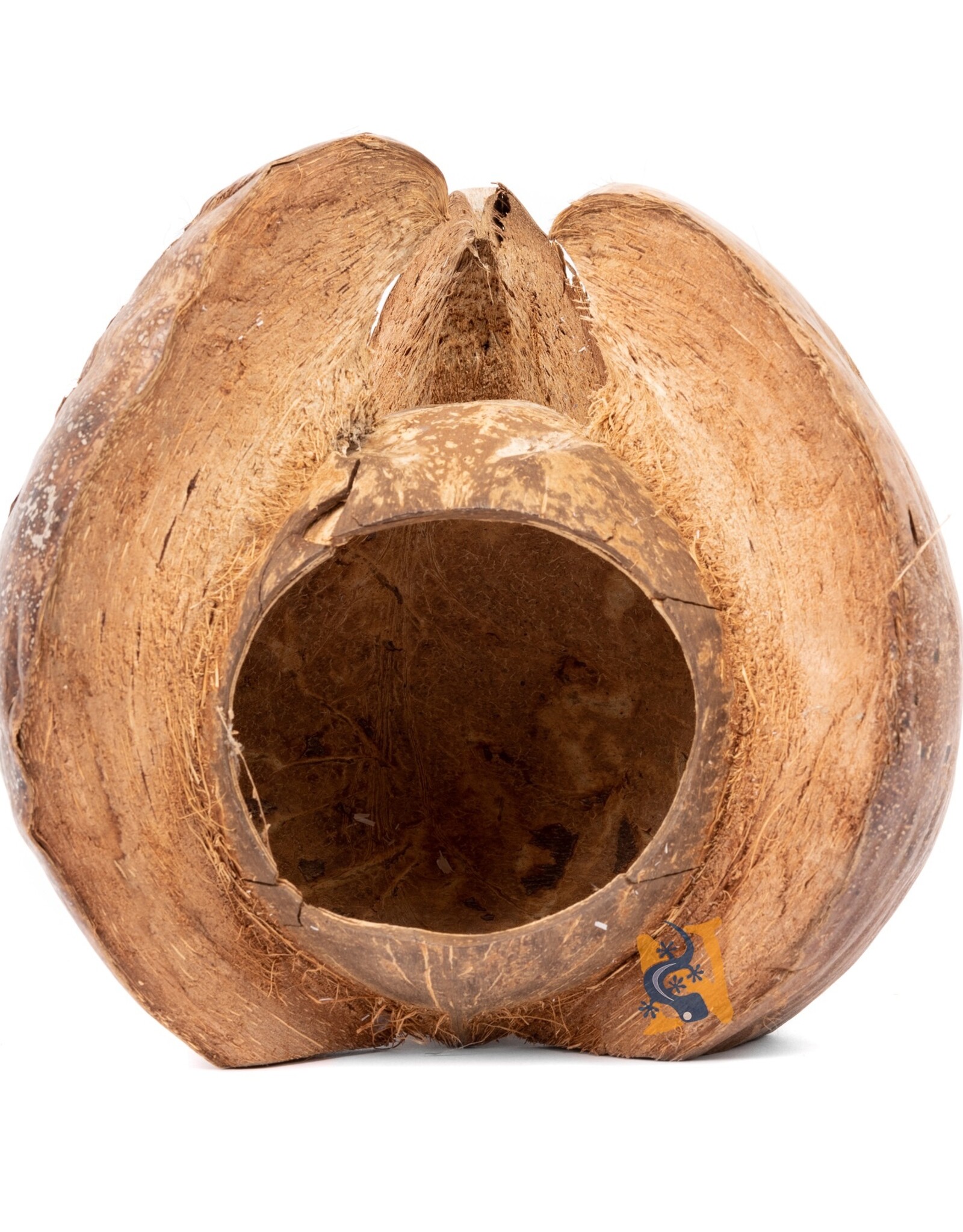 Aquaglobe Products AQUAGLOBE Natural Coconut Lotus