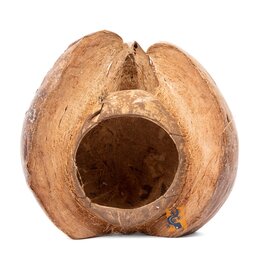 Aquaglobe Products AQUAGLOBE Natural Coconut Lotus