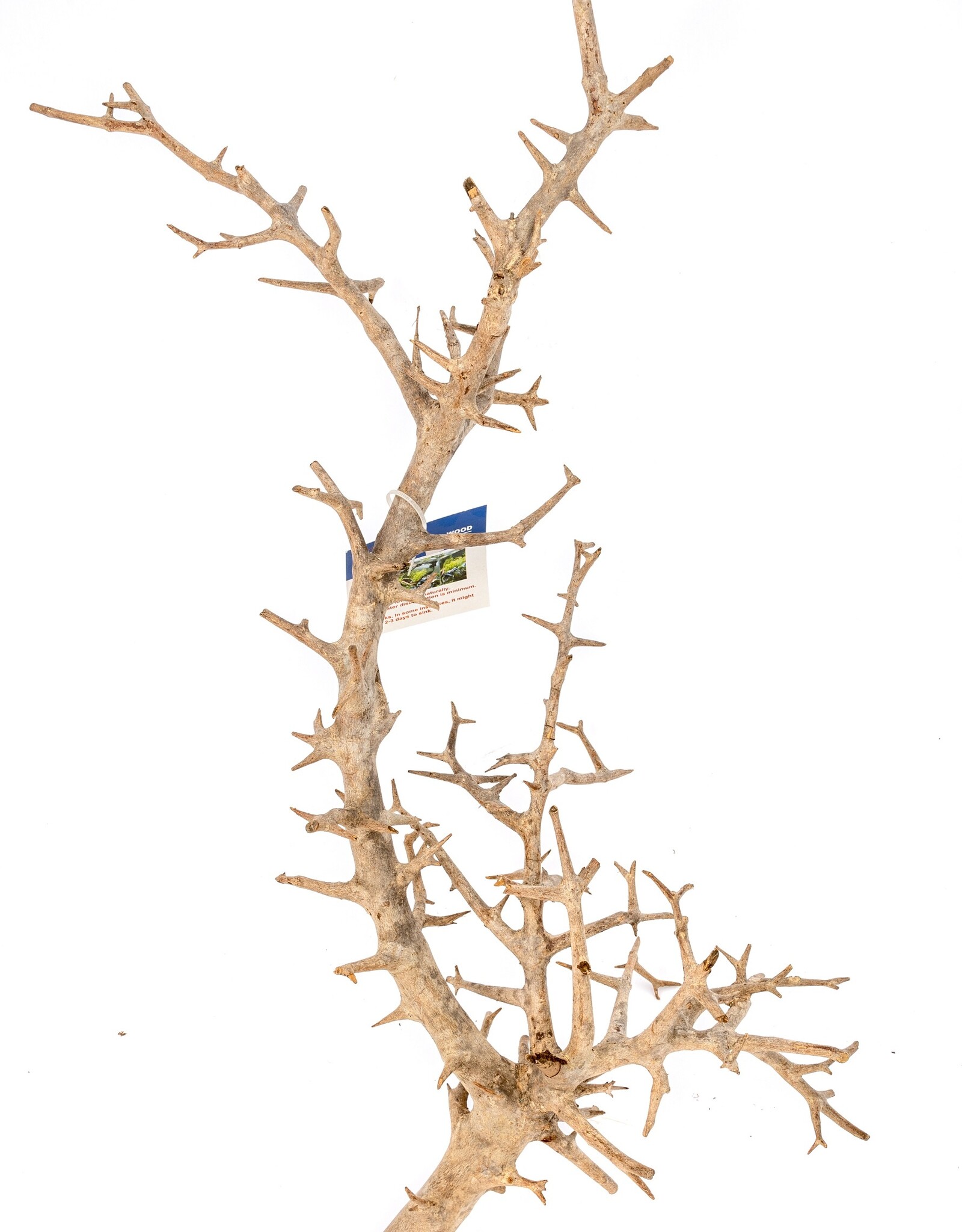 Aquaglobe Products AQUAGLOBE Pandora Wood Large