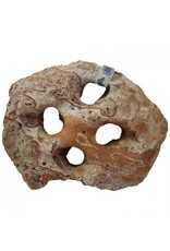 Aquaglobe Products AQUAGLOBE Rainbow Rock