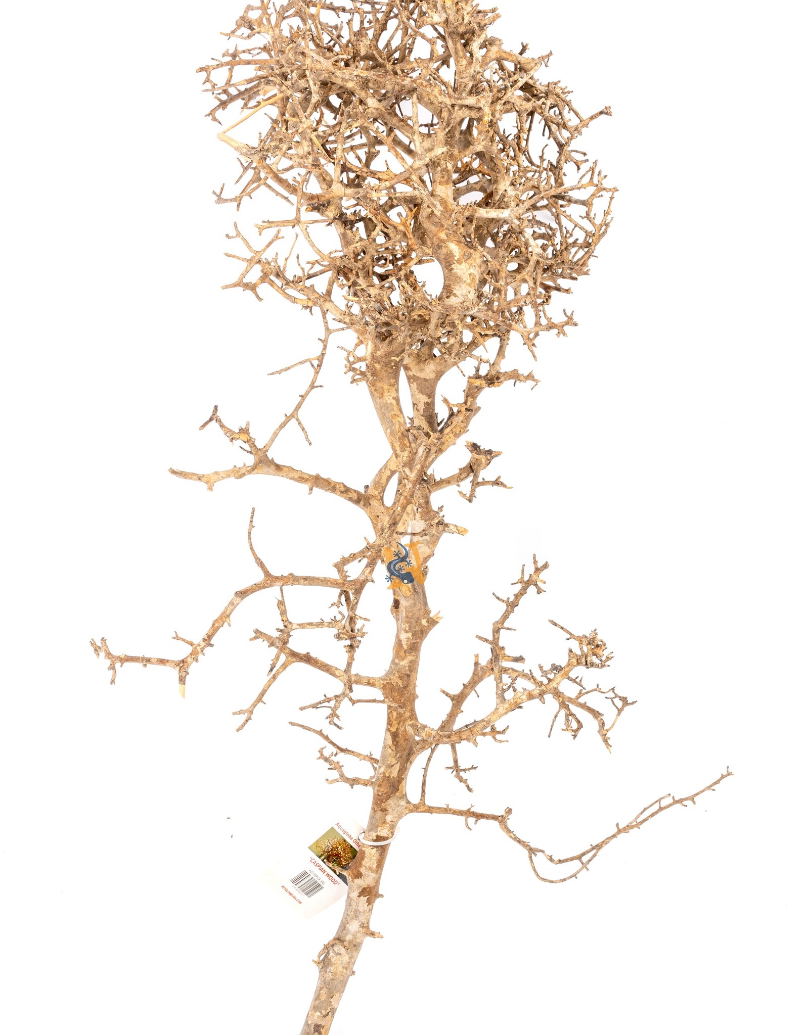 Aquaglobe Products AQUAGLOBE Papua Wood