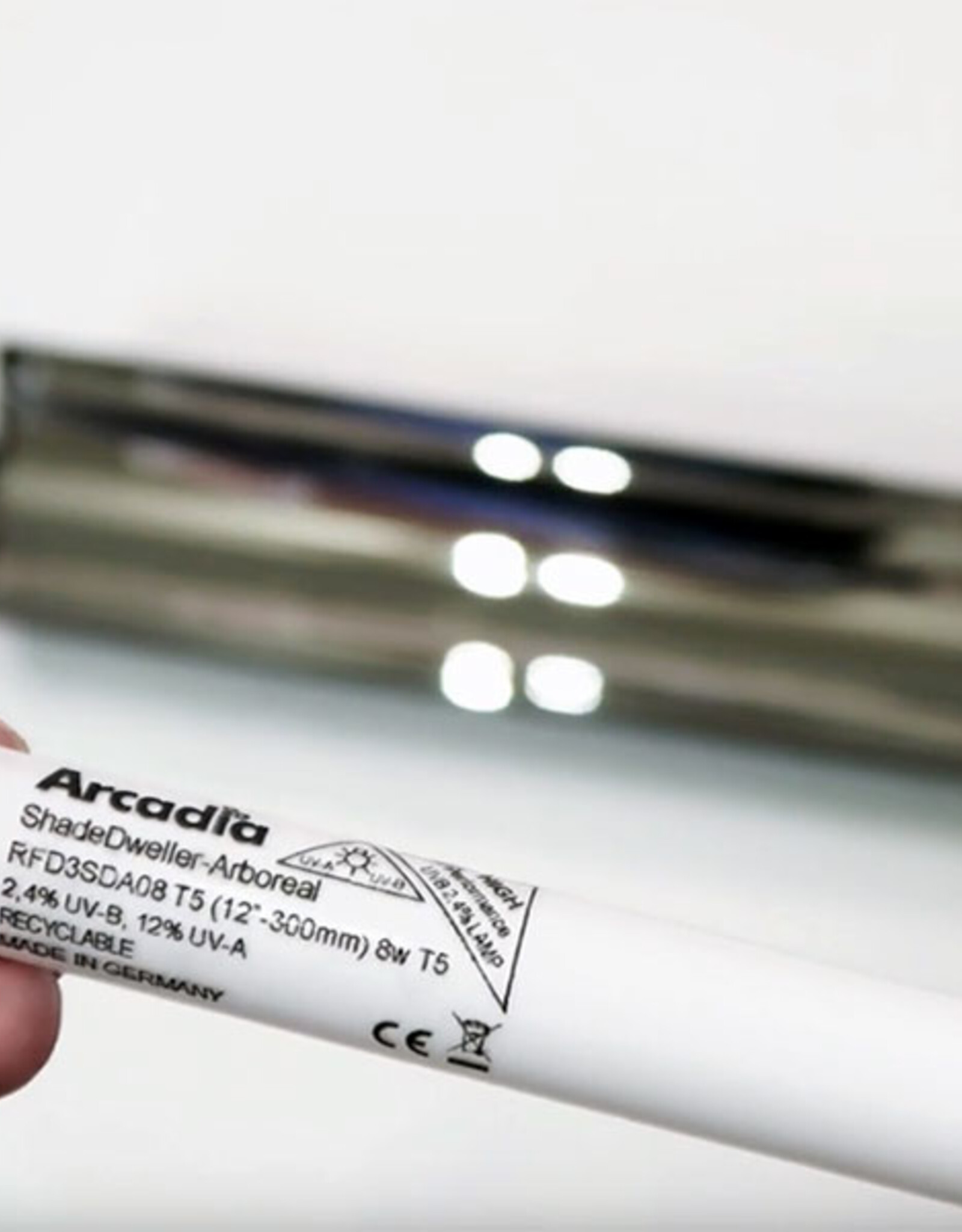 Arcadia ARCADIA ShadeDweller Arboreal Pro T5 2.4% UVB 8W Bulb 12"