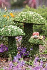 Galapagos GALAPAGOS Moss Mushroom Green