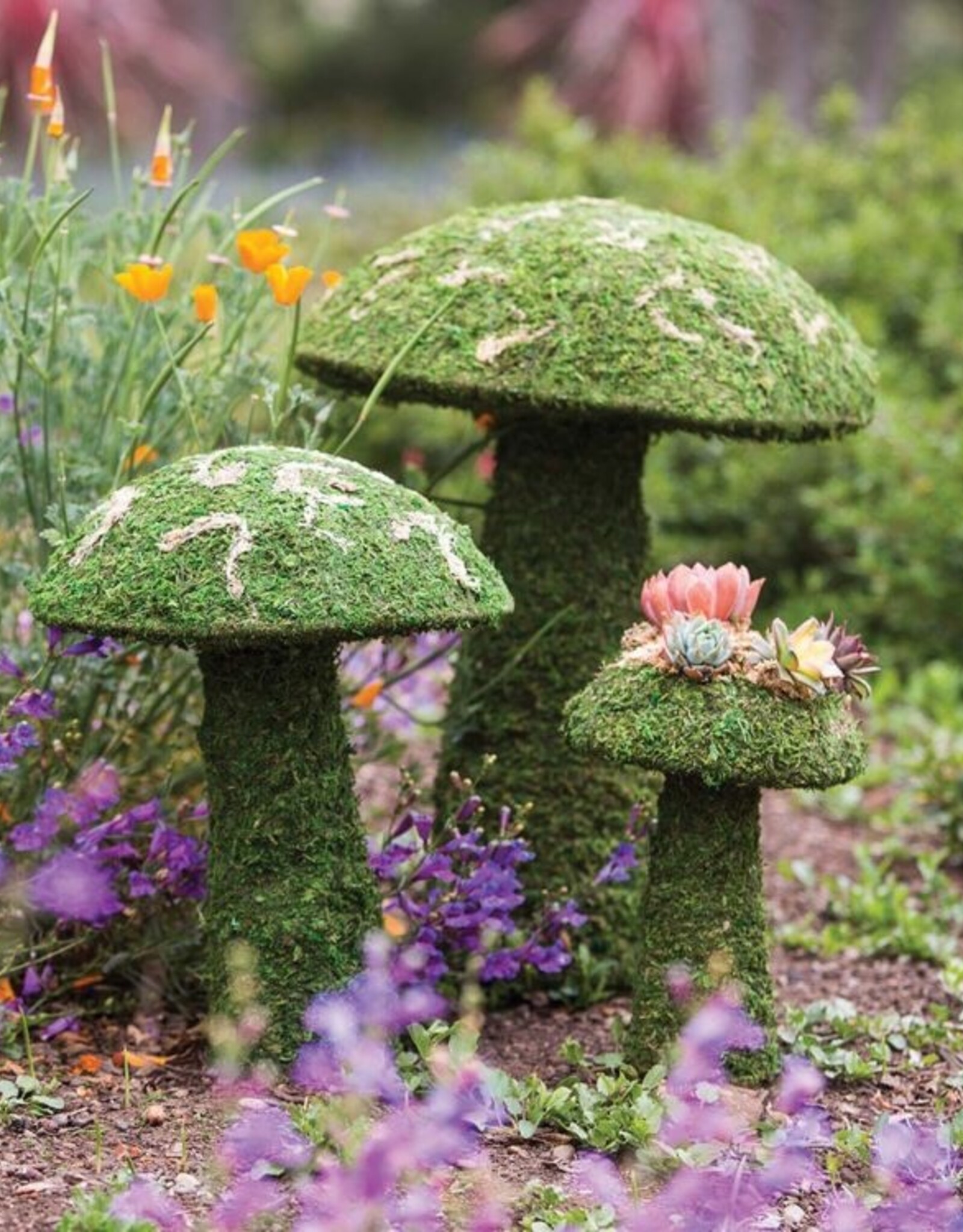 Galapagos GALAPAGOS Moss Mushroom Green