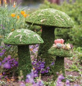 Galapagos GALAPAGOS Moss Mushroom Green
