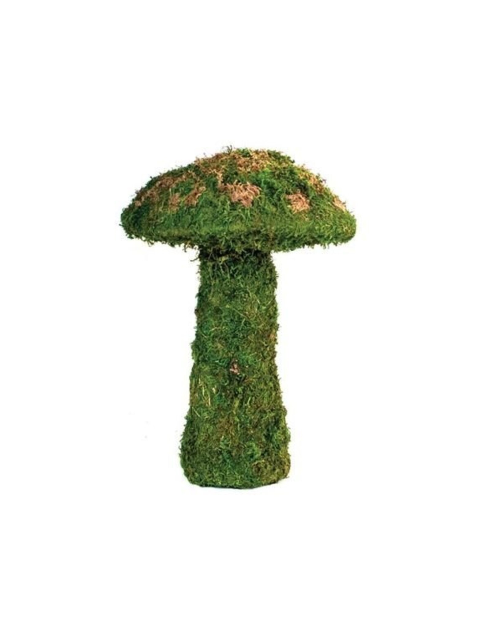 Galapagos GALAPAGOS Moss Mushroom Green