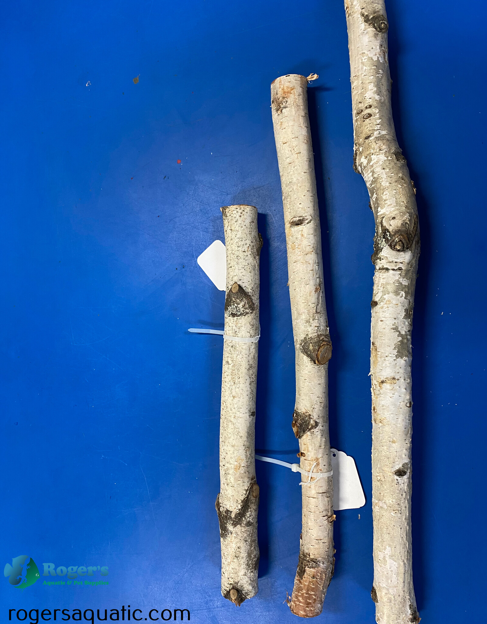 Jurassic Reptile Products JURASSIC REPTILE Birch Branch