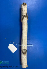 Jurassic Reptile Products JURASSIC REPTILE Birch Branch