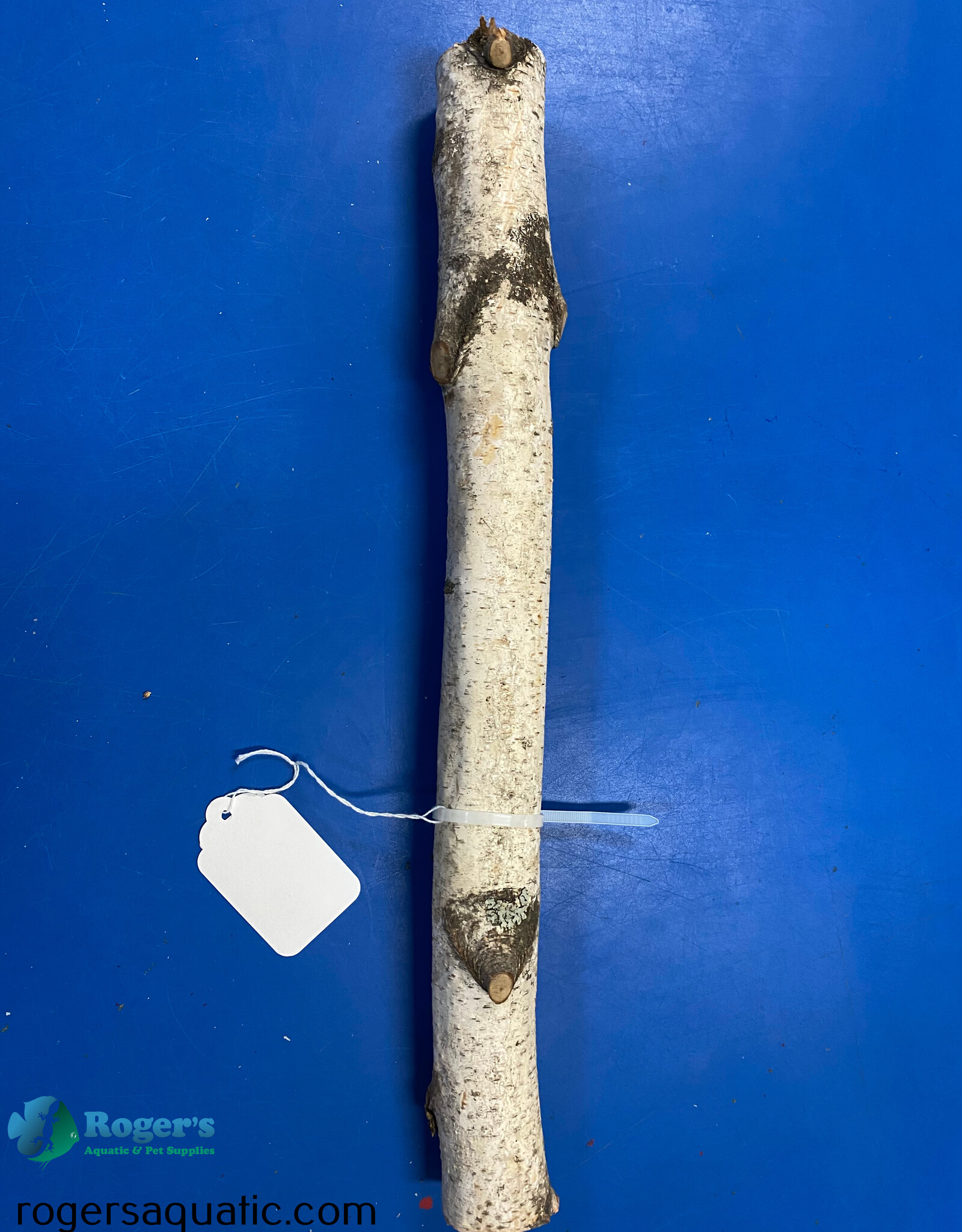 Jurassic Reptile Products JURASSIC REPTILE Birch Branch