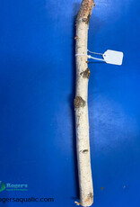 Jurassic Reptile Products JURASSIC REPTILE Birch Branch