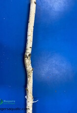 Jurassic Reptile Products JURASSIC REPTILE Birch Branch