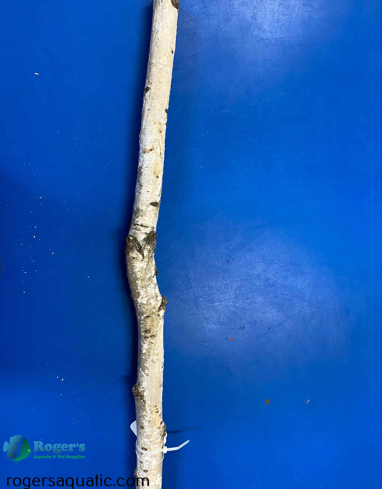 Jurassic Reptile Products JURASSIC REPTILE Birch Branch