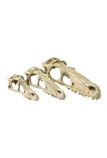 Komodo KOMODO Raptor Skull