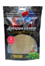 Catappa Canada CATAPPA CANADA Almond Leaves Medium