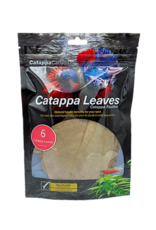 Catappa Canada CATAPPA CANADA Almond Leaves Medium