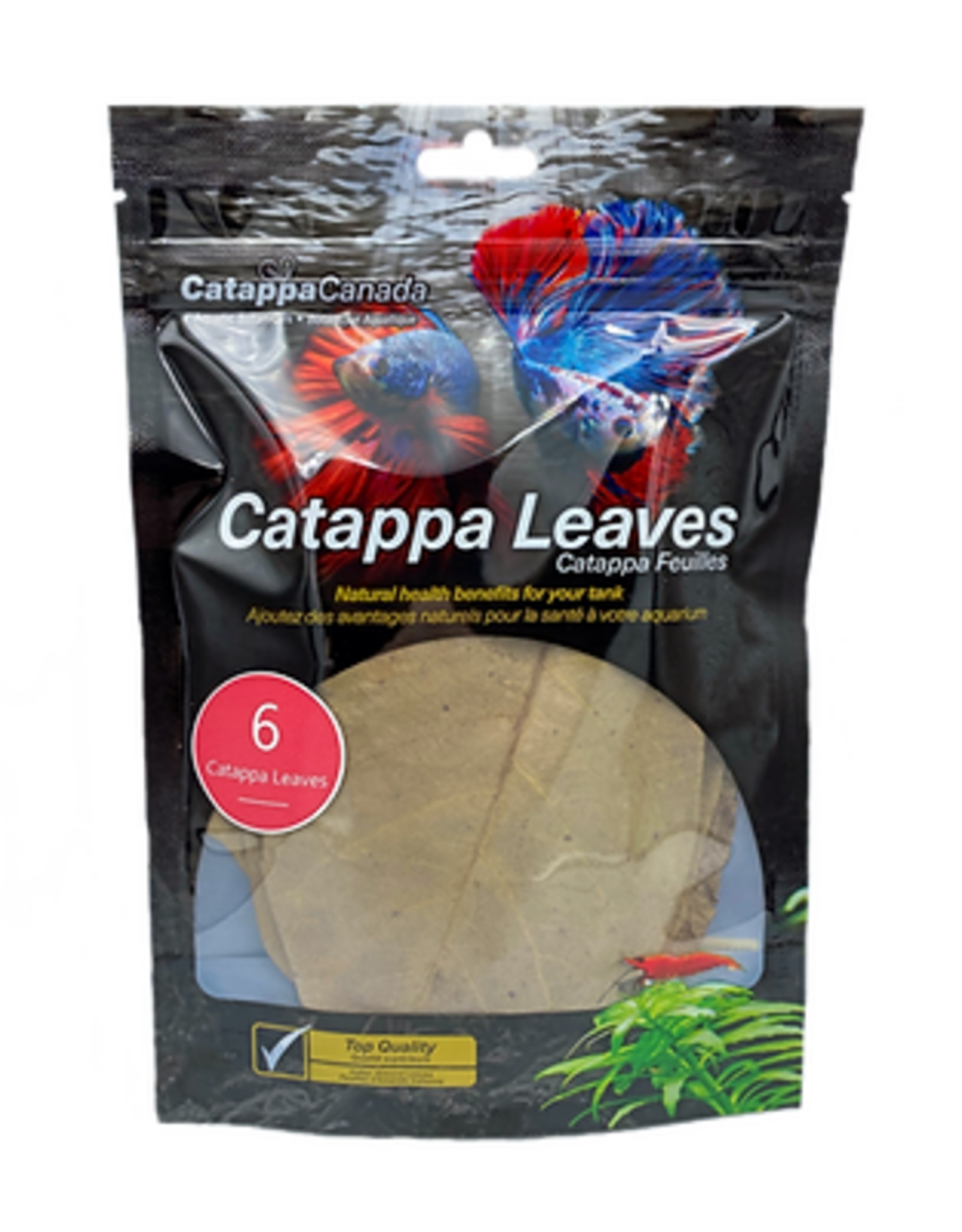 Catappa Canada CATAPPA CANADA Almond Leaves Medium